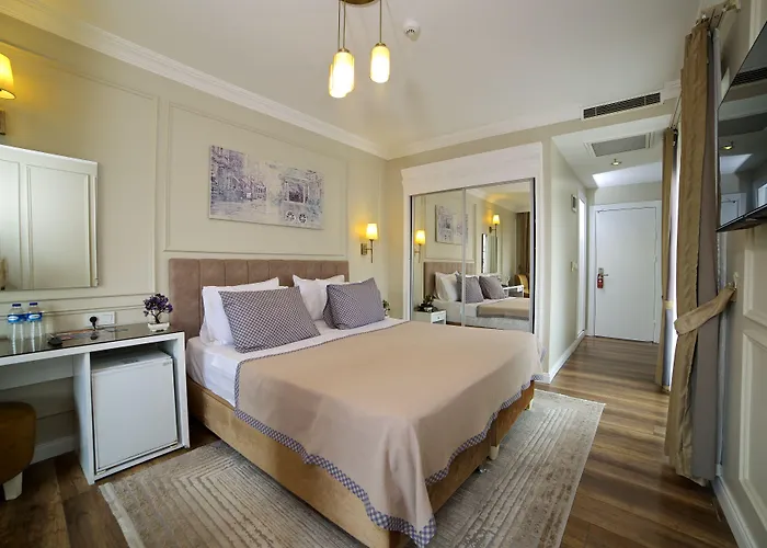 Hotel Vanilla & Estambul